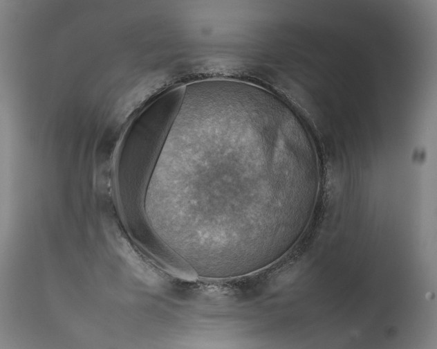 X0000111350585200907241200