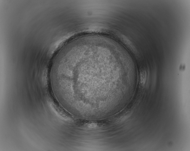 X0000111350588200907241200