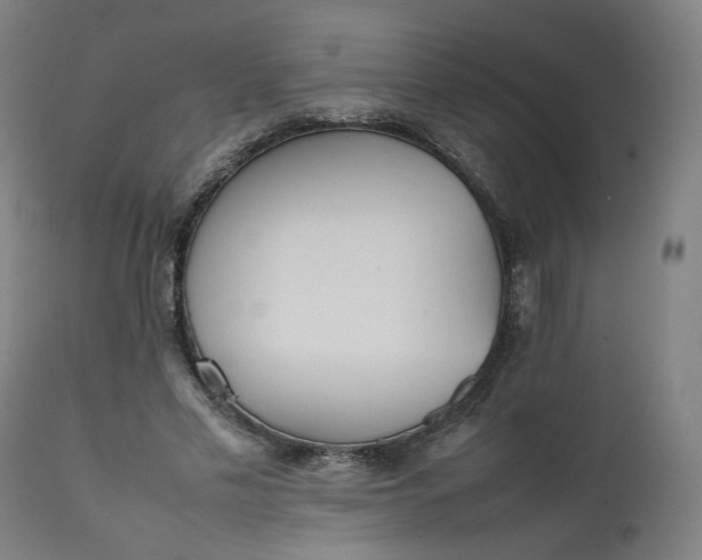 X0000111350589200907241200