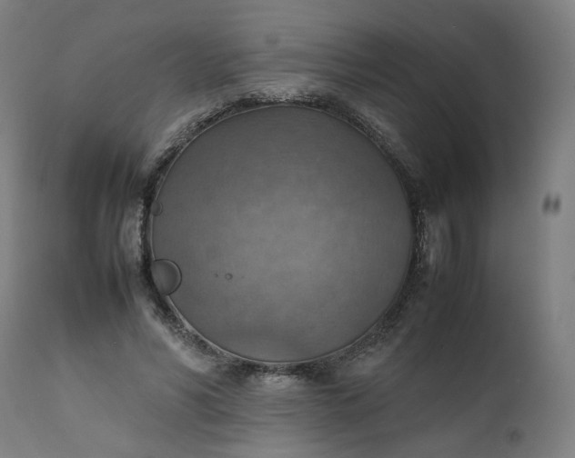 X0000111350590200907241200