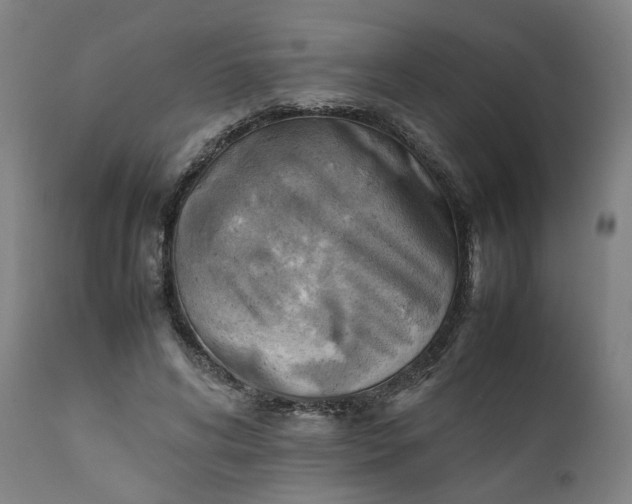 X0000111350592200907241200