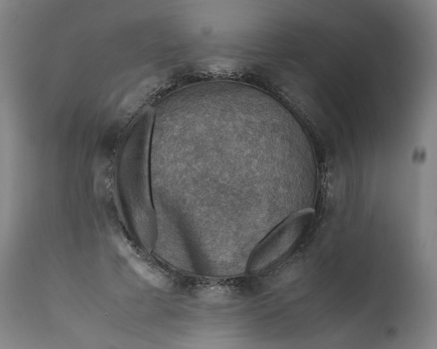 X0000111350593200907241200