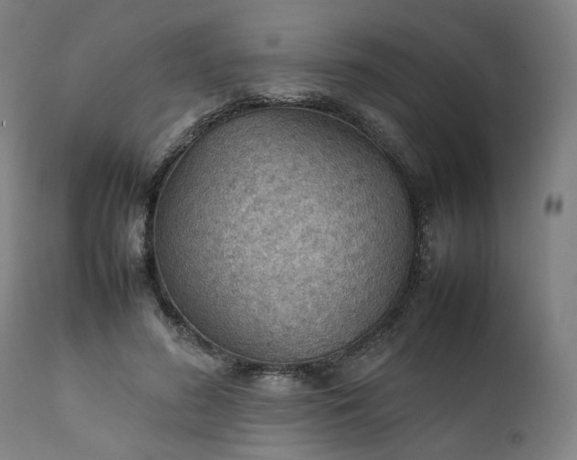 X0000111350596200907241200