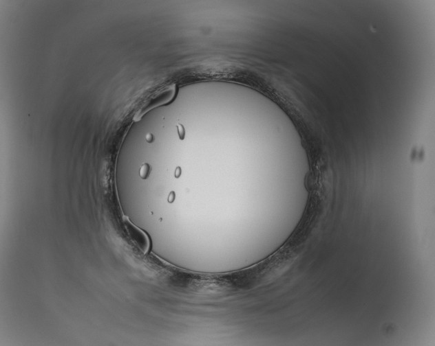 X0000111350597200907241200