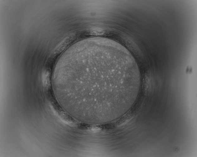 X0000111350598200907241200