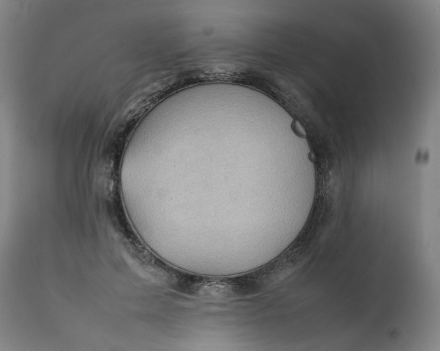 X0000111350599200907241200