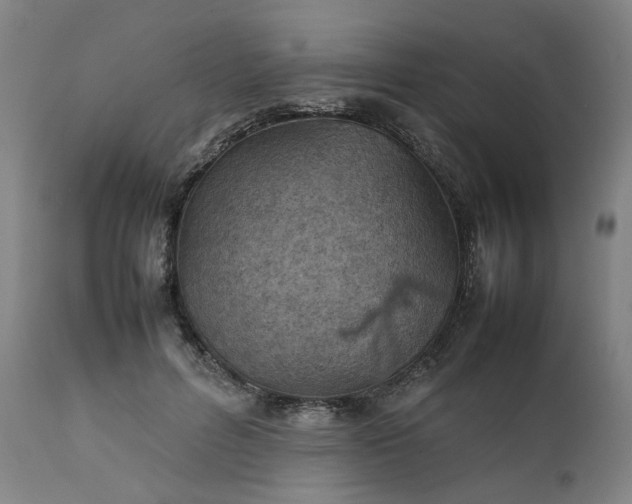 X0000111350600200907241200