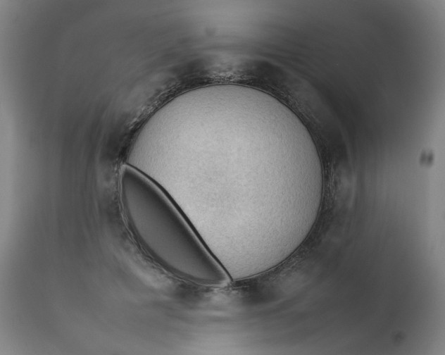 X0000111350601200907241200