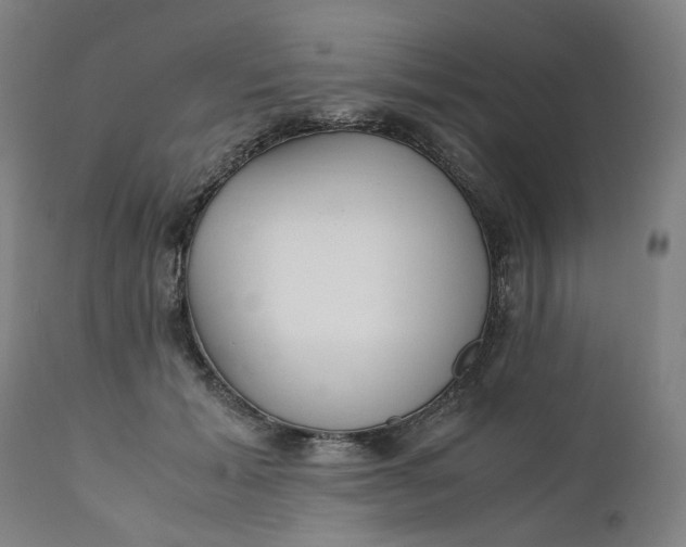 X0000111350605200907241200