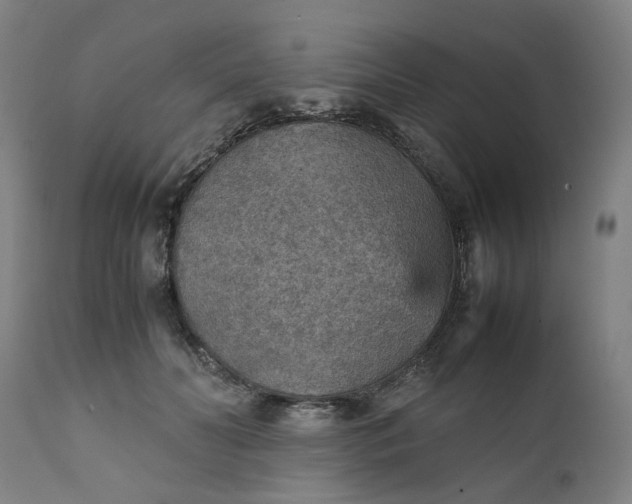 X0000111350606200907241200