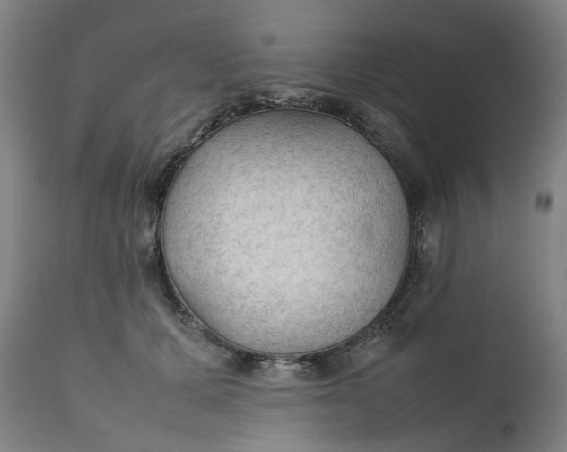 X0000111350607200907241200