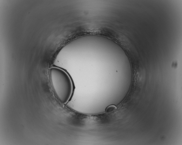 X0000111350609200907241200