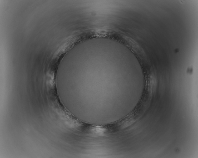 X0000111350610200907241200