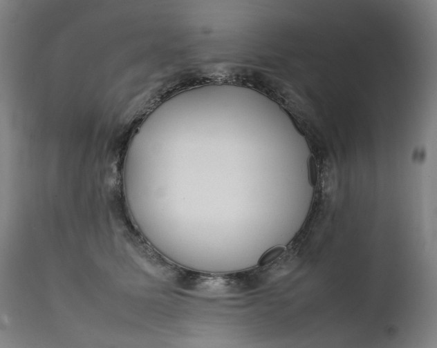 X0000111350611200907241200