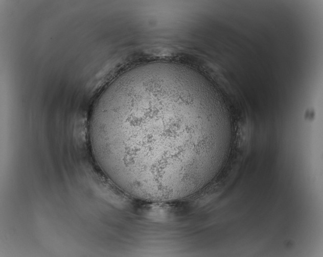 X0000111350612200907241200