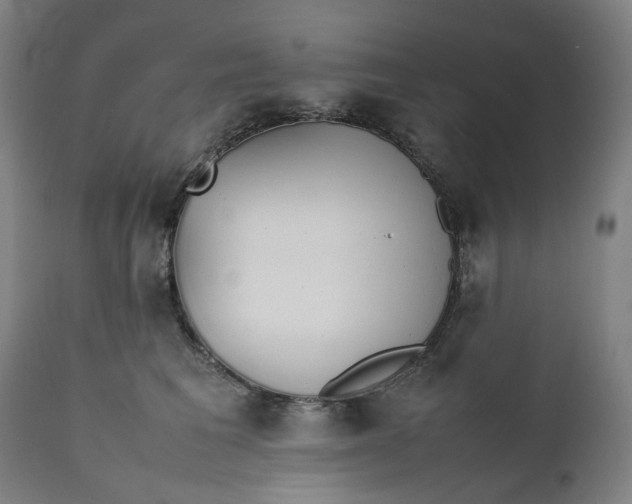 X0000111350613200907241200