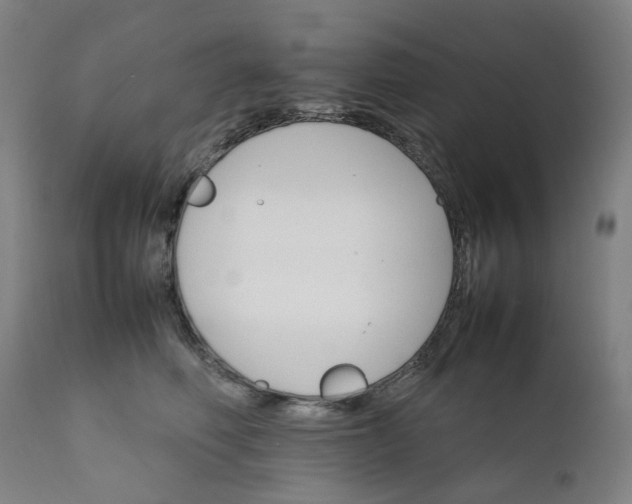 X0000111350614200907241200