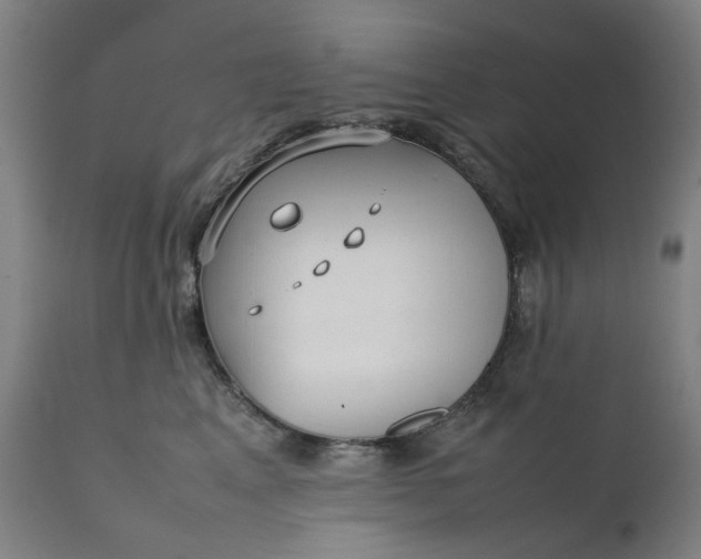 X0000111350617200907241200