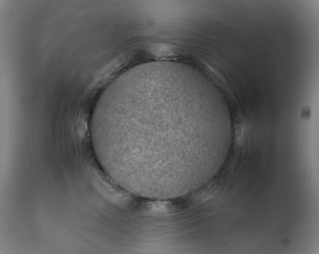 X0000111350618200907241200