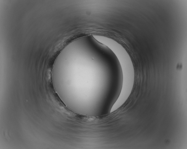 X0000111350621200907241200