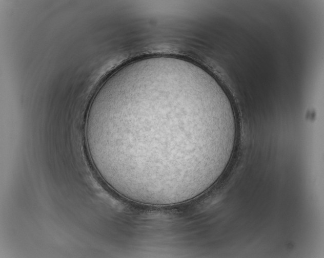 X0000111350625200907241159