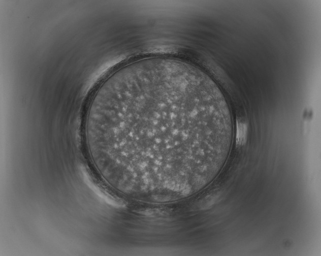 X0000111350627200907241159