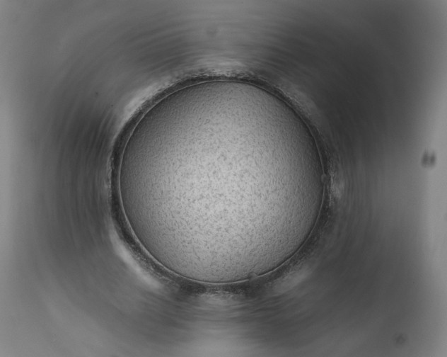 X0000111350630200907241159