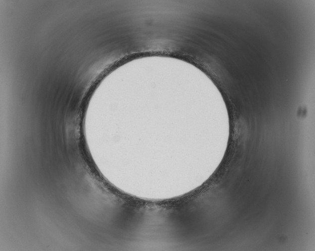 X0000111350632200907241159