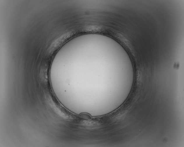 X0000111350633200907241159