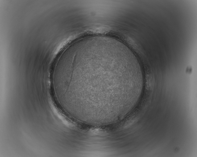 X0000111350634200907241159