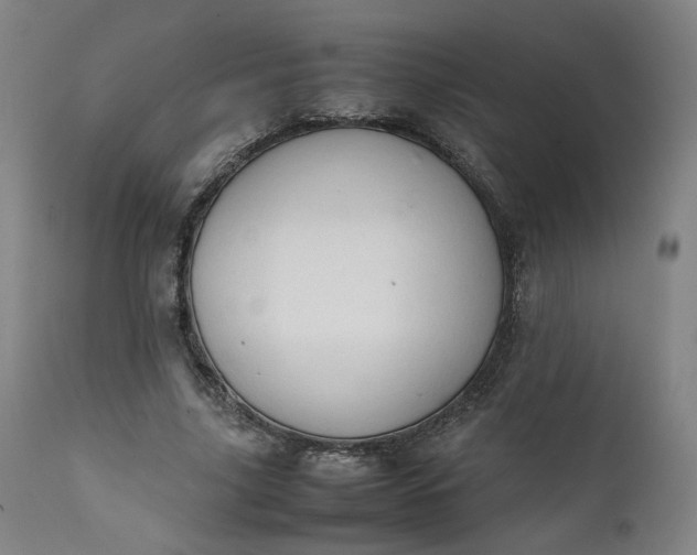 X0000111350635200907241159