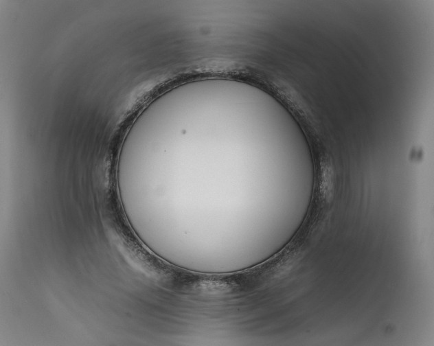 X0000111350636200907241159