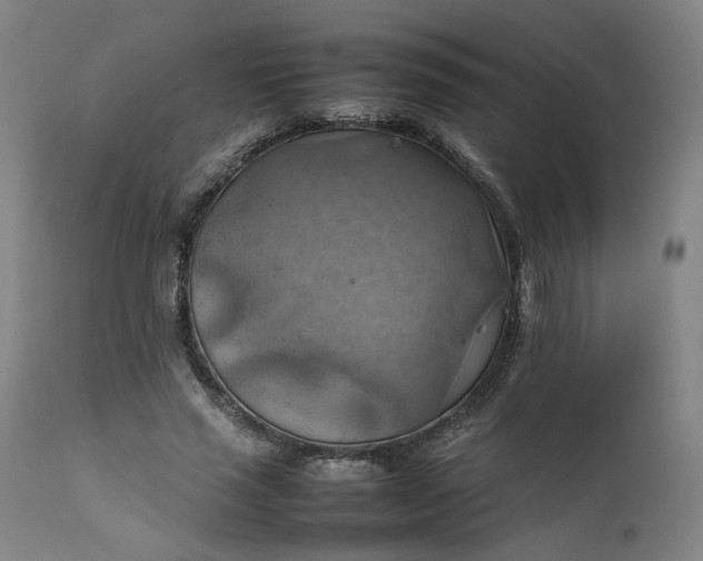 X0000111350637200907241159