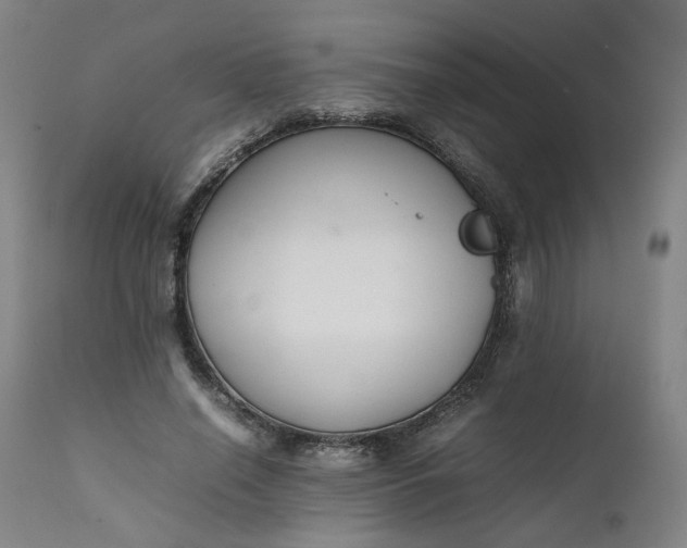 X0000111350638200907241159