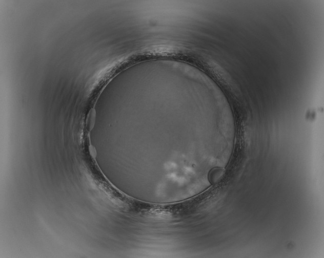 X0000111350640200907241159