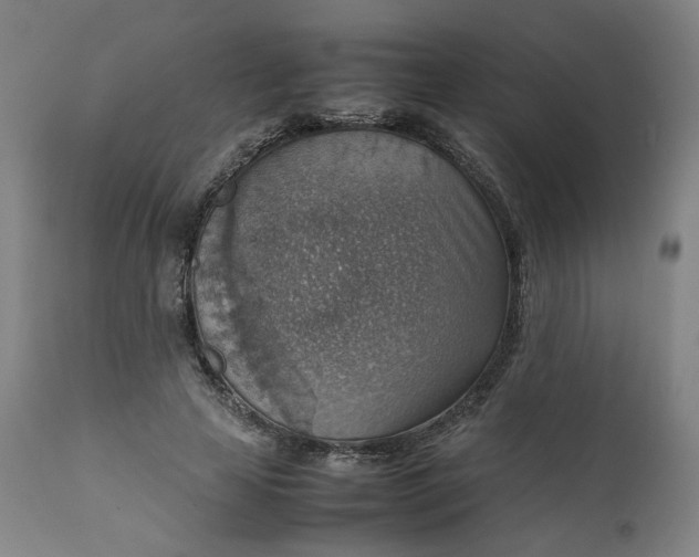 X0000111350641200907241159