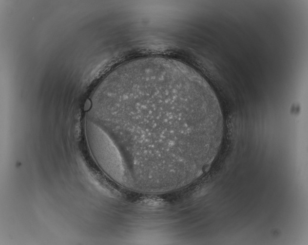 X0000111350642200907241159