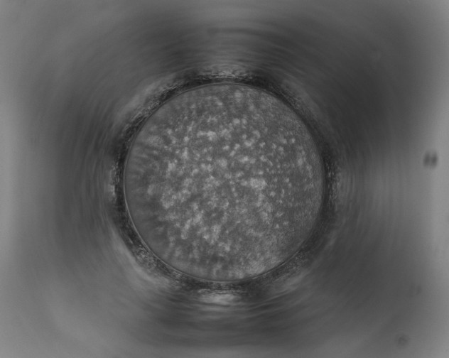 X0000111350643200907241159