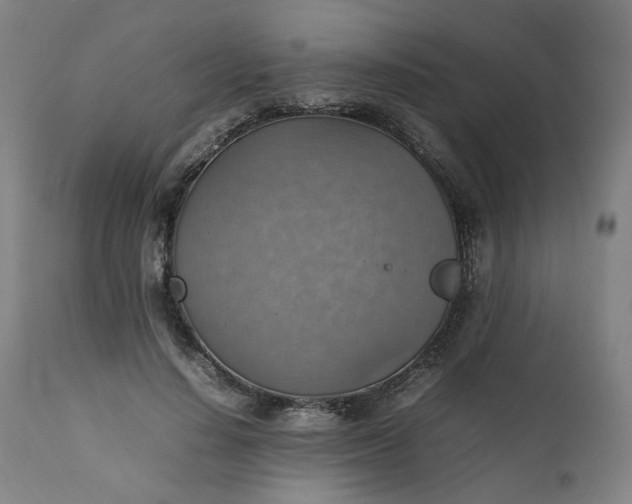 X0000111350644200907241159