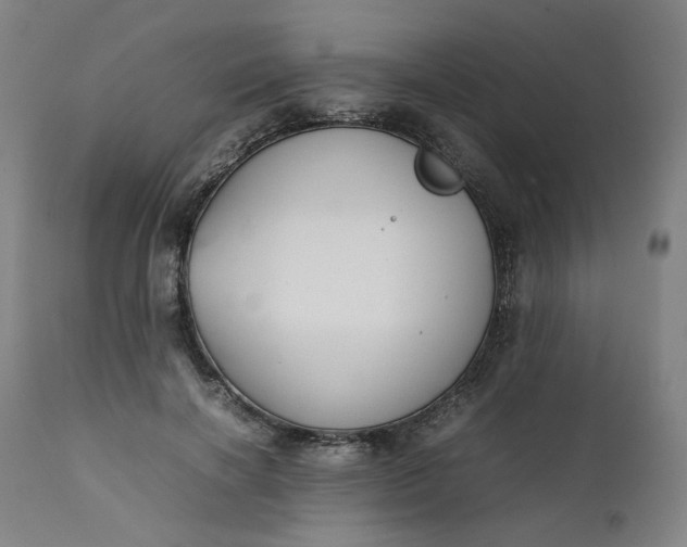 X0000111350646200907241159