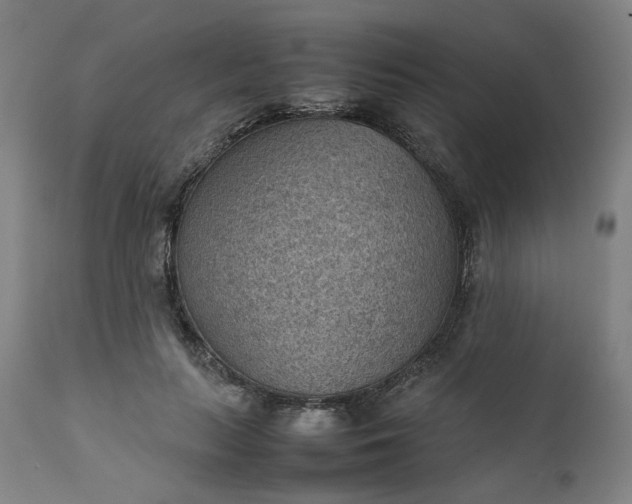 X0000111350647200907241159