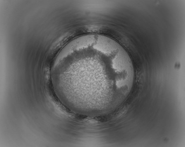 X0000111350648200907241159