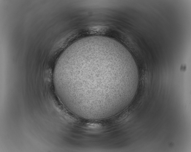 X0000111350649200907241159