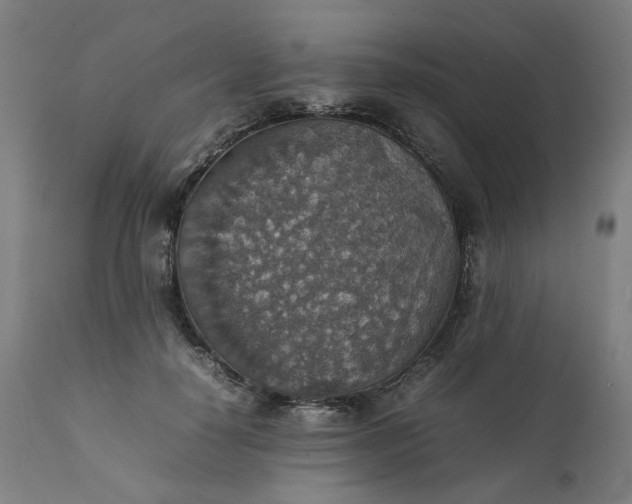 X0000111350650200907241159