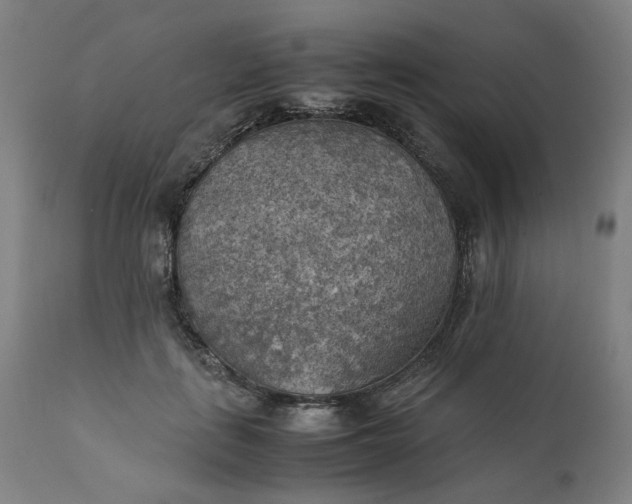 X0000111350651200907241159