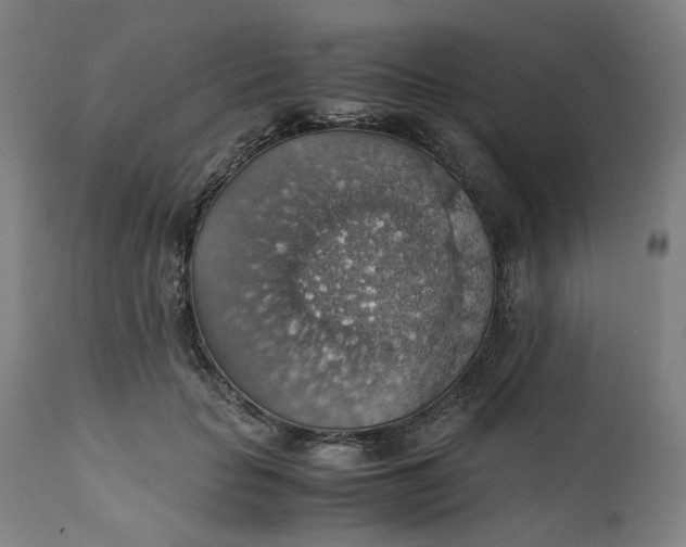 X0000111350653200907241159