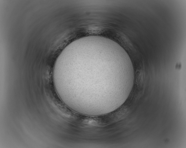 X0000111350655200907241159