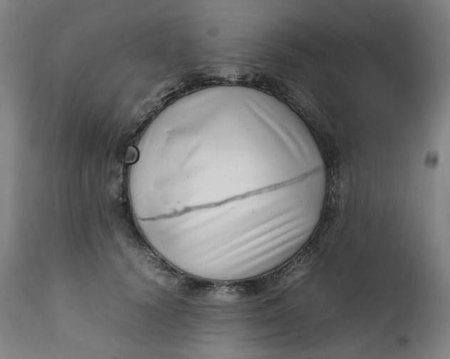 X0000111350656200907241159