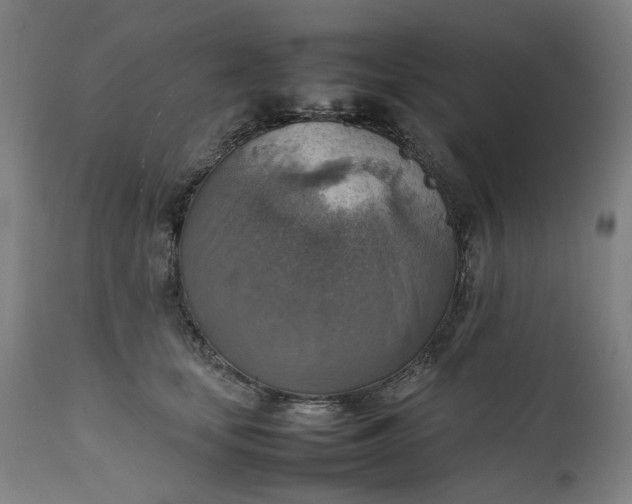 X0000111350659200907241159