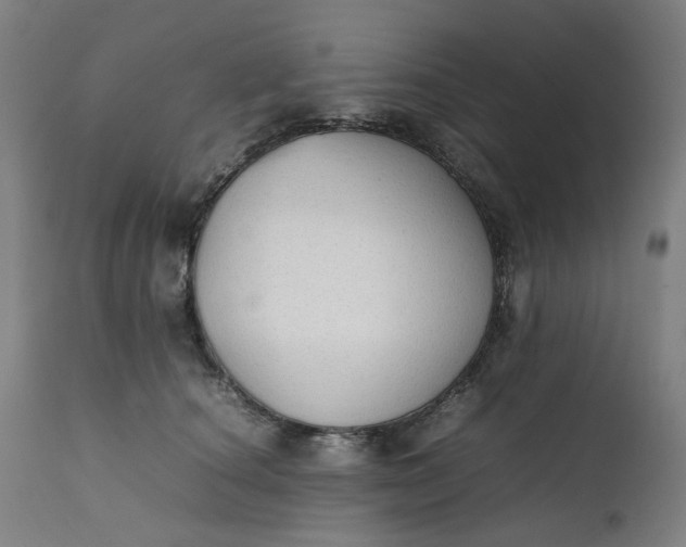 X0000111350660200907241159